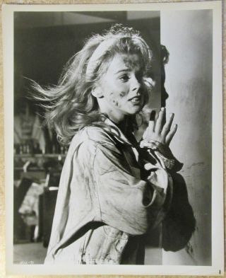 Ann - Margret,  Vintage 8 " X 10 " Photograph