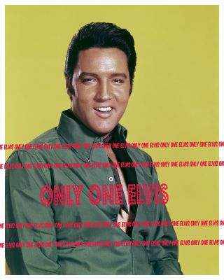 Elvis Presley 1968 8x10 Photo Publicity Shot The King In Green Smiling