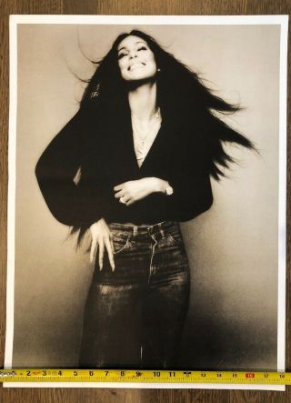 Cher Vintage Photo Classic B&w Image Lithograph Wall Poster Official Merch