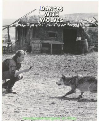 Dances With Wolves Lobby Card Size 11x14 Movie Poster Card 2 Kevin Costner 1990