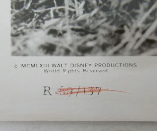 4 Vintage 1963 (8x10) Movie Media Press Photos Disney INCREDIBLE JOURNEY wz8142 3
