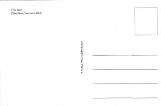 MARTHA O ' DRISCOLL - hollywood MOVIE PIN - UP/CHEESECAKE modern 2000 postcard 2