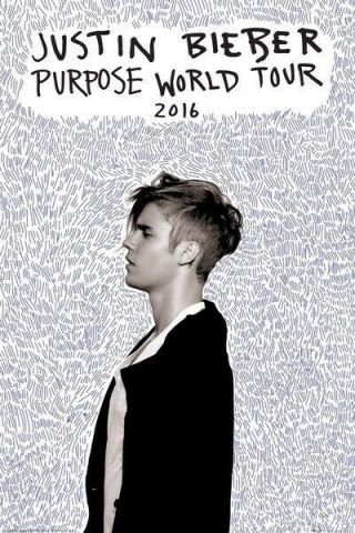 Justin Bieber Purpose Tour Profile 24x36 Music Poster New/rolled