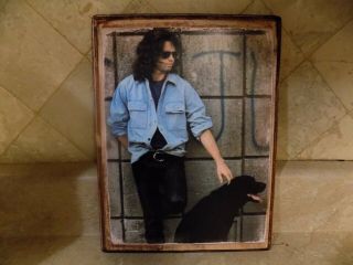 Jim Morrison With Dog Stone 8x10 Wood Picture Plaque