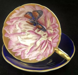 Aynsley Butterfly Chrysanthemum Cobalt Pink Cup & Saucer