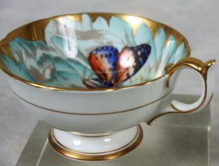 Rare Vtge Aynsley Turquoise Gold Butterfly Chysanthemum Flower Tea Cup & Saucer 10