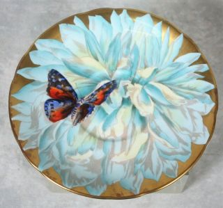 Rare Vtge Aynsley Turquoise Gold Butterfly Chysanthemum Flower Tea Cup & Saucer 3