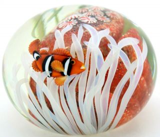 Huge Orient & Flume Vibrant Clownfish Aquarium Art Glass Paperweight 5.  2
