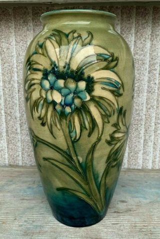 Vintage Rare Moorcroft Vase Cornflower On Celadon Signed Wm Moorcroft 10 "