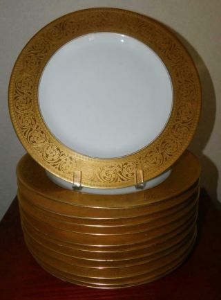 Black Knight Blk 145 Gold Encrusted Dinner Plates - Set Of 12 -