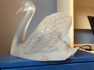 Lalique Crystal SWAN Head UP - family owned,  tail is partially broken 2