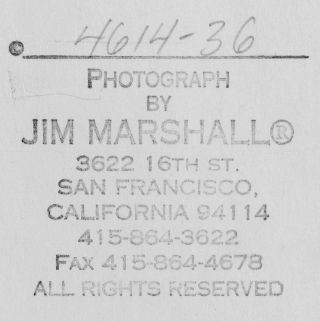 JIM MORRISON (The Doors) HUGE Jim Marshall Photograph 16″ x 20″ 3