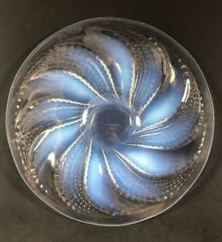 Rene Lalique 10 1/4 " Fleurons Platter Signed R Lalique Clear Opalescent Blue (8)