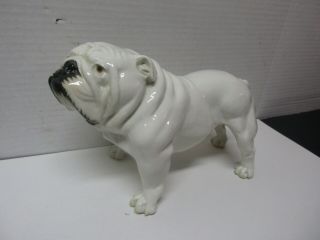 Nymphenburg Germany Porcelain Bulldog