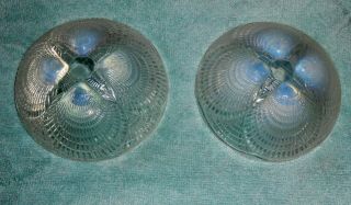 R.  Lalique French Art Glass Small 5 1/4 " Vintage Opalescent Shell Bowls