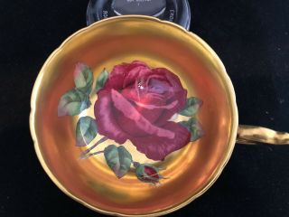Paragon Large Black Gold Floating Rose Cup & Saucer 3
