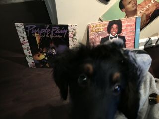 Prince Purple Rain Album with poster 2