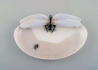 Early Royal Copenhagen Art Nouveau Bowl.  Decorated With Insect And Spider