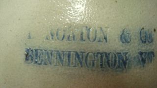 Antique Norton Bennington VT.  Stoneware Jug,  Cobalt Blue Bird,  Dove,  1 Gallon.  NR 3
