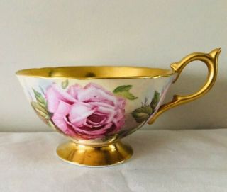 Rare Vintage Aynsley Cabbage Rose And Gold Teacup 1024