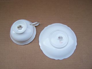 Paragon White Large Cabbage Rose Yellow Teacup Tea Cup Saucer double warrant 10