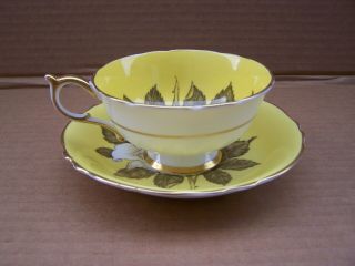 Paragon White Large Cabbage Rose Yellow Teacup Tea Cup Saucer double warrant 2
