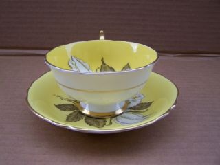 Paragon White Large Cabbage Rose Yellow Teacup Tea Cup Saucer double warrant 3