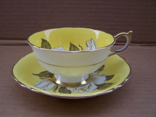 Paragon White Large Cabbage Rose Yellow Teacup Tea Cup Saucer double warrant 4