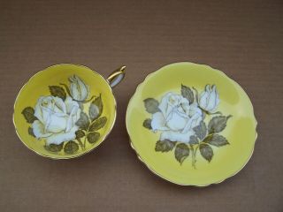 Paragon White Large Cabbage Rose Yellow Teacup Tea Cup Saucer double warrant 6