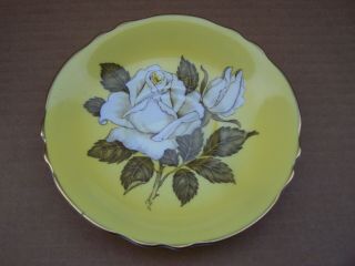 Paragon White Large Cabbage Rose Yellow Teacup Tea Cup Saucer double warrant 7
