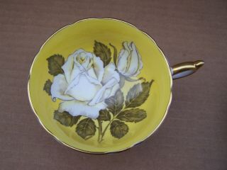 Paragon White Large Cabbage Rose Yellow Teacup Tea Cup Saucer double warrant 8