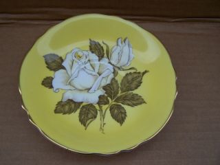 Paragon White Large Cabbage Rose Yellow Teacup Tea Cup Saucer double warrant 9
