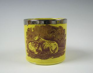 Antique Canary Yellow Childs Mug Transfer Of Sheep Staffordshire Early 19th C.