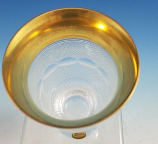 Moser Splendid Gold Crystal Glass 6 oz Flat Tumbler 5 1/4 