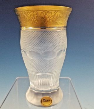 Moser Splendid Gold Crystal Glass 6 oz Flat Tumbler 5 1/4 