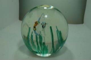 1980s Cenedese,  Murano aquarium glass paperweight designed by Barbini 2