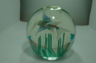 1980s Cenedese,  Murano aquarium glass paperweight designed by Barbini 3