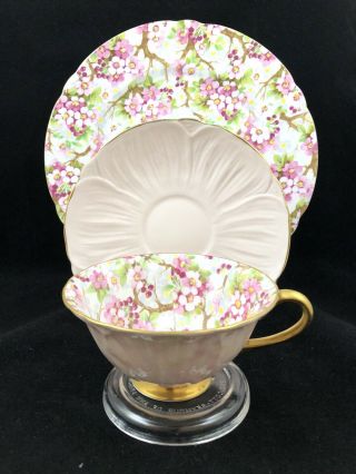 Shelley Maytime Pink Chintz Oleander Trio Cuo Saucer & 8” Plate