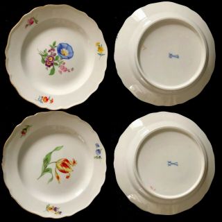 6 Antiques meissen porcelain Plates Flowers 10