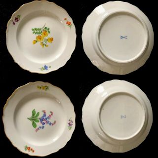 6 Antiques meissen porcelain Plates Flowers 11
