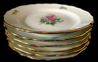 6 Antiques meissen porcelain Plates Flowers 12
