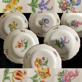 6 Antiques Meissen Porcelain Plates Flowers