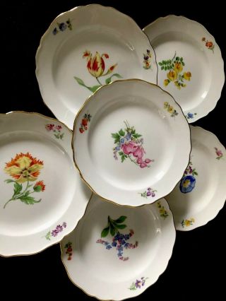 6 Antiques meissen porcelain Plates Flowers 2