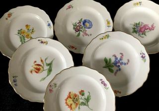 6 Antiques meissen porcelain Plates Flowers 3