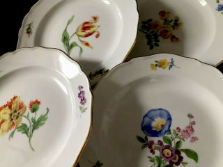 6 Antiques meissen porcelain Plates Flowers 6