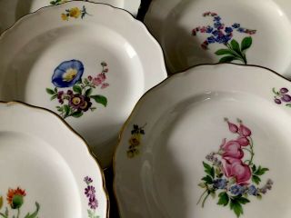 6 Antiques meissen porcelain Plates Flowers 7