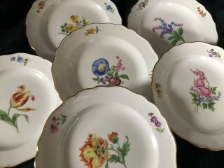 6 Antiques meissen porcelain Plates Flowers 8