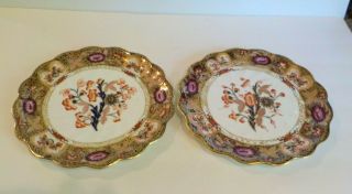Pair Davenport English Porcelain Cabinet Plates (1870 - 1886)