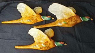 Set Of 3 Vintage Beswick Pheasant 661 Wall Bird Hanging Plaques Porcelain Nwt