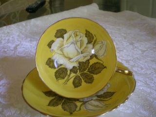 Paragon White Cabbage Rose On Yellow Cup & Saucer,  Double Warrant